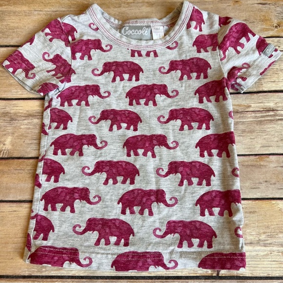 Coccoli - Picture 3 of 8